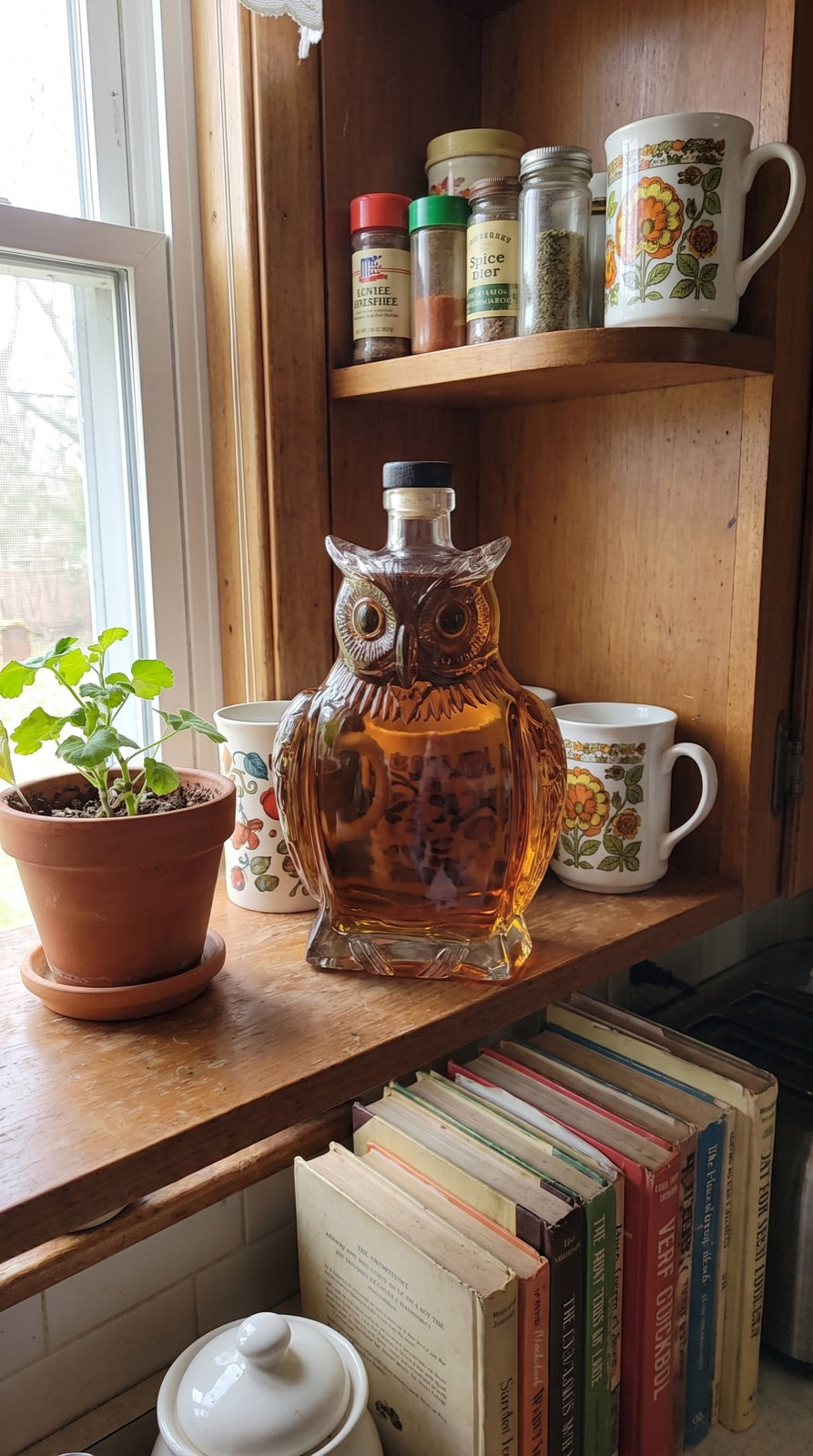Owl decanter on a kitchen shelf beside spice jars and cookbooks